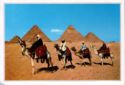 Giza. Arab Camelriders in front of the Pyramids