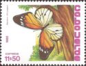 African Monarch (Danaus chrysippus)