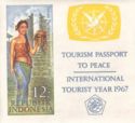 International Tourist Year