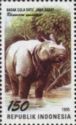 Javan Rhinoceros (Rhinoceros sondaicus)