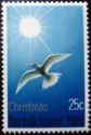 Antarctic Tern and Sun