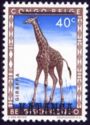 Northern Giraffe (Giraffa camelopardalis overprinted KATANGA