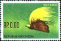 Greater Bird-of-paradise (Paradisaea apoda apoda)