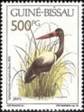 Saddle-billed Stork (Ephippiorhynchus senegalensis)