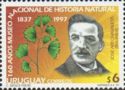 Jose Archavaleta, botantist