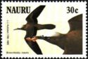 Brown Noddy (Anous stolidus)
