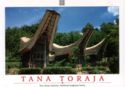 Tana Toraja. Traditional Houses