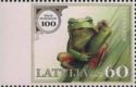 European Tree Frog (Hyla arborea)