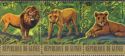 Lion (Panthera leo) - Stripe of 3 Stamps