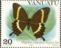 Swallowtail Butterfly (Papilio canopus hypiscles)