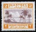 Sudan Landscape