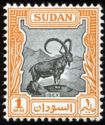 Nubian ibex (Capra nubiana)