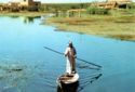 The Marshes near Nasiriyah