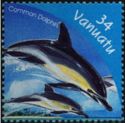 Common Dolphin (Delphinus delphis)