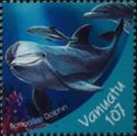 Common Bottlenose Dolphin (Tursiops truncatus)