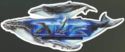 Whales