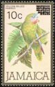 Yellow-billed Amazon (Amazona collaria) overprinted