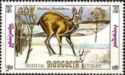 Siberian Musk Deer (Moschus moschiferus)