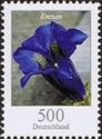 Stemless Gentian (Gentiana acaulis)