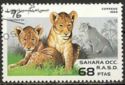 Lion (Panthera leo)
