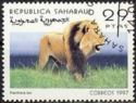 Panthera leo