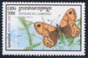 Wall Brown (Lasiomatta megera)