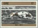 Dog Racing 1927-1977
