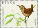 Eurasian Wren (Troglodytes troglodytes)