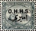 Official Stamps 1907 Overprints