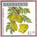 Carambola