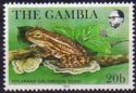 Galam White-lipped Frog (Hylarana galamensis)