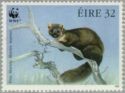 Pine Marten (Martes martes) on branch