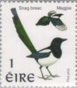 Common Magpie (Pica pica)