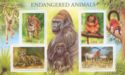 Endangered Animals