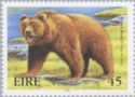 Brown Bear (Ursus arctos)