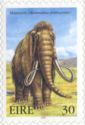 Woolly Mammoth (Mammuthus primigenius)