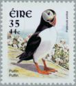 Atlantic Puffin (Fratercula arctica)