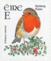 European Robin (Erithacus rubecula)