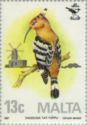 Eurasian Hoopoe (Upupa epops)