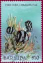 Fire Coral and Banded Butterfly Fish