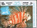 Devil Firefish (Pterois miles)
