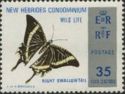 Night Swallowtail (Lyssa menoetius)