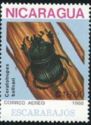 Beetle (Ceratrupes bolivari)