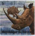 White Rhinoceros (Ceratotherium simum)