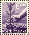 Hand Planting an Olive Tree