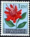 Protea lemairei overprinted "REPUBLIQUE RWANDAISE"