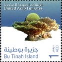 Bu Tinah Island. Corals