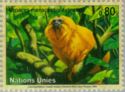 Golden Lion Tamarin (Leontopithecus rosalia)