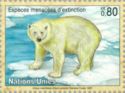 Polar Bear (Ursus maritimus)