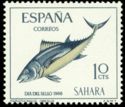 Bigeye Tuna (Thunnus obesus)